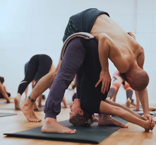 Видео курс по аштанга йоге (введение в аштангу)